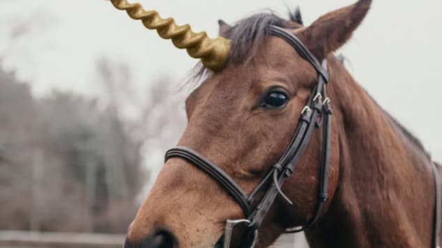 Une corne de licorne pour cheval