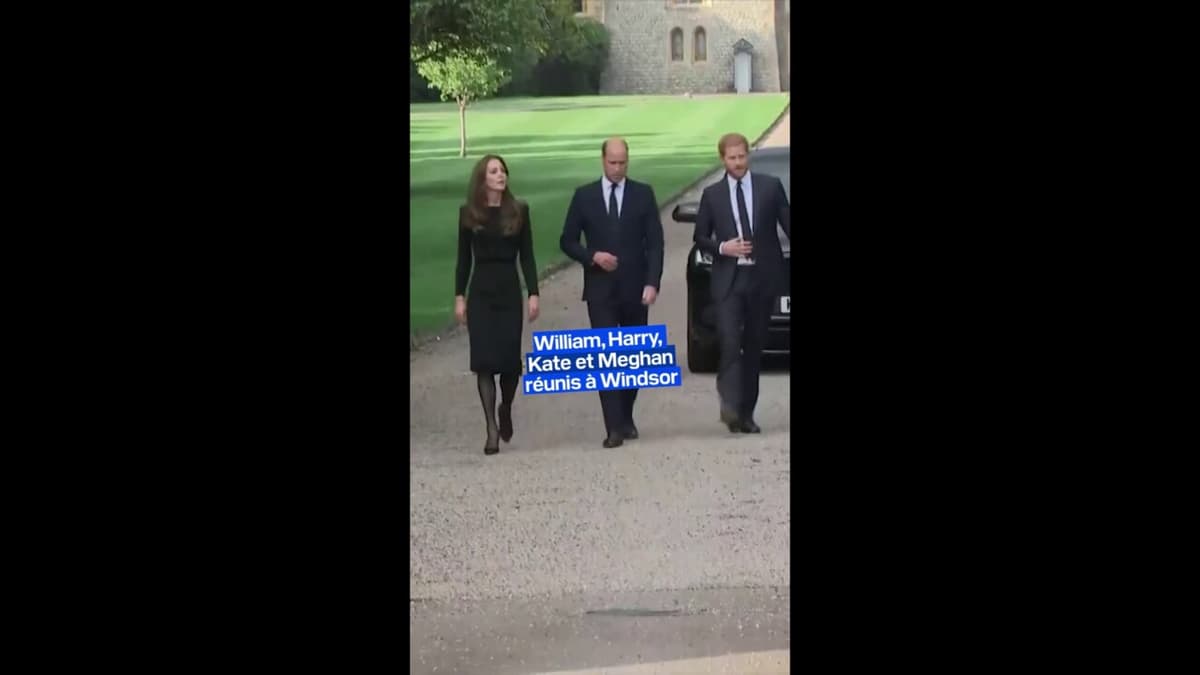 placeholder video
