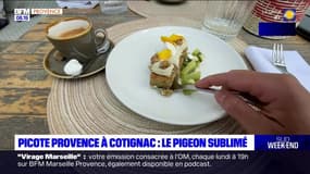 Passions Provence du samedi 25 mai 2024 - Picote Provence à Cotignac, le Pigeon Sublimé