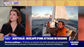 Embarqué sur un bateau attaqué par des requins, un Français raconte son sauvetage en Australie