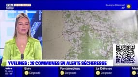 Yvelines: 38 communes placées en alerte sécheresse