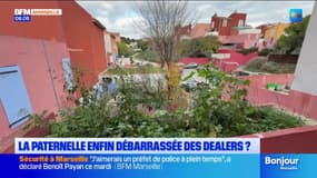 La Paternelle enfin débarrassée des dealers ? 