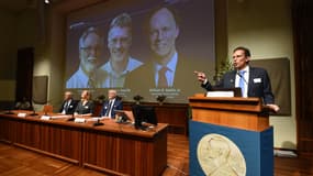 Le secrétaire du comité Nobel, Thomas Perlmann, annonce les gagnants des prix nobels de physiologie et de médecine à Stockholm