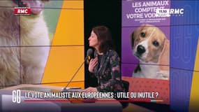 "Un animaliste doit être droit dans ses idées jusqu'à la fin": l'avis de Barbara Lefebvre sur le parti animaliste