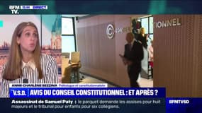 Que peut dire le conseil constitutionnel ? - 07/04