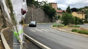 Une rose posée au bord de la montée de Choulans dans le 5e arrondissement de Lyon (Rhône), où un adolescent de 15 ans est mort renversé par un chauffeur-livreur en 2021. (Archives)