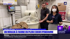 Marseille: un moulin à farine en plein cœur d'Endoume