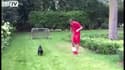Özil dribble… avec son chien