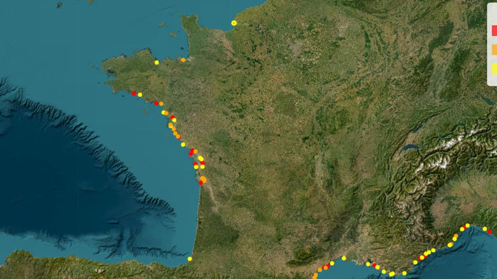 Le département de Charente-Maritime fortement concerné par l'arrivée massive de méduses