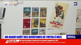 Nice: visite en avant-première de l'exposition consacrée à Tintin