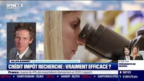 Gilles Babinet (CNNum) : Crédit impôt recherche, vraiment efficace ? - 02/06