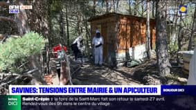 Hautes-Alpes: tensions entre la municipalité de Savines-le-Lac et un apiculteur de la commune