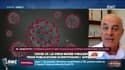 Covid-19: une mutation aurait rendu le virus moins virulent, selon plusieurs études scientifiques 