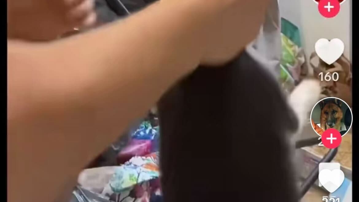 Capture d'écran de la vidéo d'Hainda59100