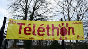 Le 39e Téléthon s'est achevé avec 83,5 millions d'euros de promesses de dons au profit de la recherche sur les maladies génétiques rares, selon l'association AFM-Téléthon (illustration) 
