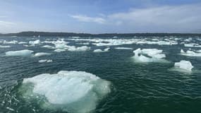 La fonte d'icebergs du glacier San Rafael sur le lac San Rafael, dans la région d'Aysen, au sud du Chili, le 13 février 2022 (photo d'illustration)