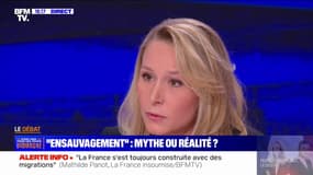 Marion Maréchal: "Il y a une guerre de civilisation qui est en train de s'installer dans notre pays, et je le regrette"