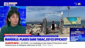 Bouches-du-Rhône: l'interdiction de fumer sur les plages, une "bonne nouvelle" pour la Ligue contre le cancer