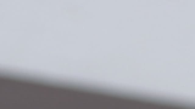 Les femmes préfèrent les hommes barbus pour des relations sérieuses. (L'acteur Michael Fassbender / Photo d'illustration)