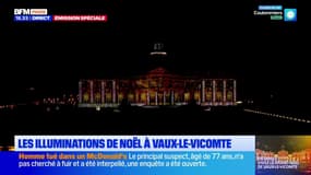 Les spectateurs des illuminations de Noël profitent des fêtes "avant l'heure" à Vaux-le-Vicomte