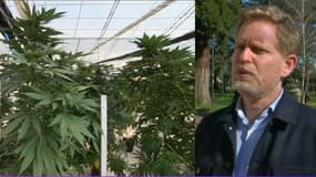 Le maire de Bègles sur RMC et RMC Story le 15 juin 2023