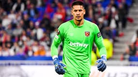 Alphonse Areola