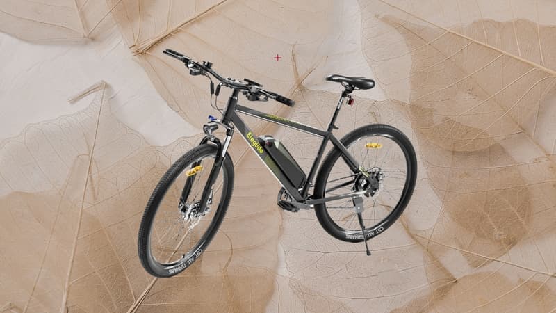 Quel est ce VTT électrique à moins de 800 euros sur ce site ultra réputé ?