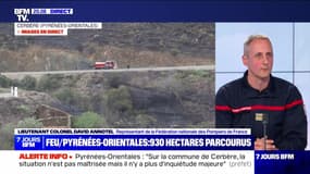 Feu/Pyrénées-Orientales: 930 hectares parcourus - 16/04