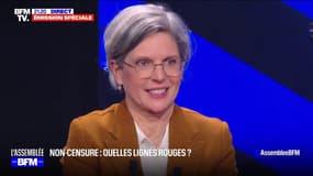 Sandrine Rousseau (Les Écologistes): "Emmanuel Macron utilise toutes les manœuvres possibles pour fracturer le Nouveau front populaire"