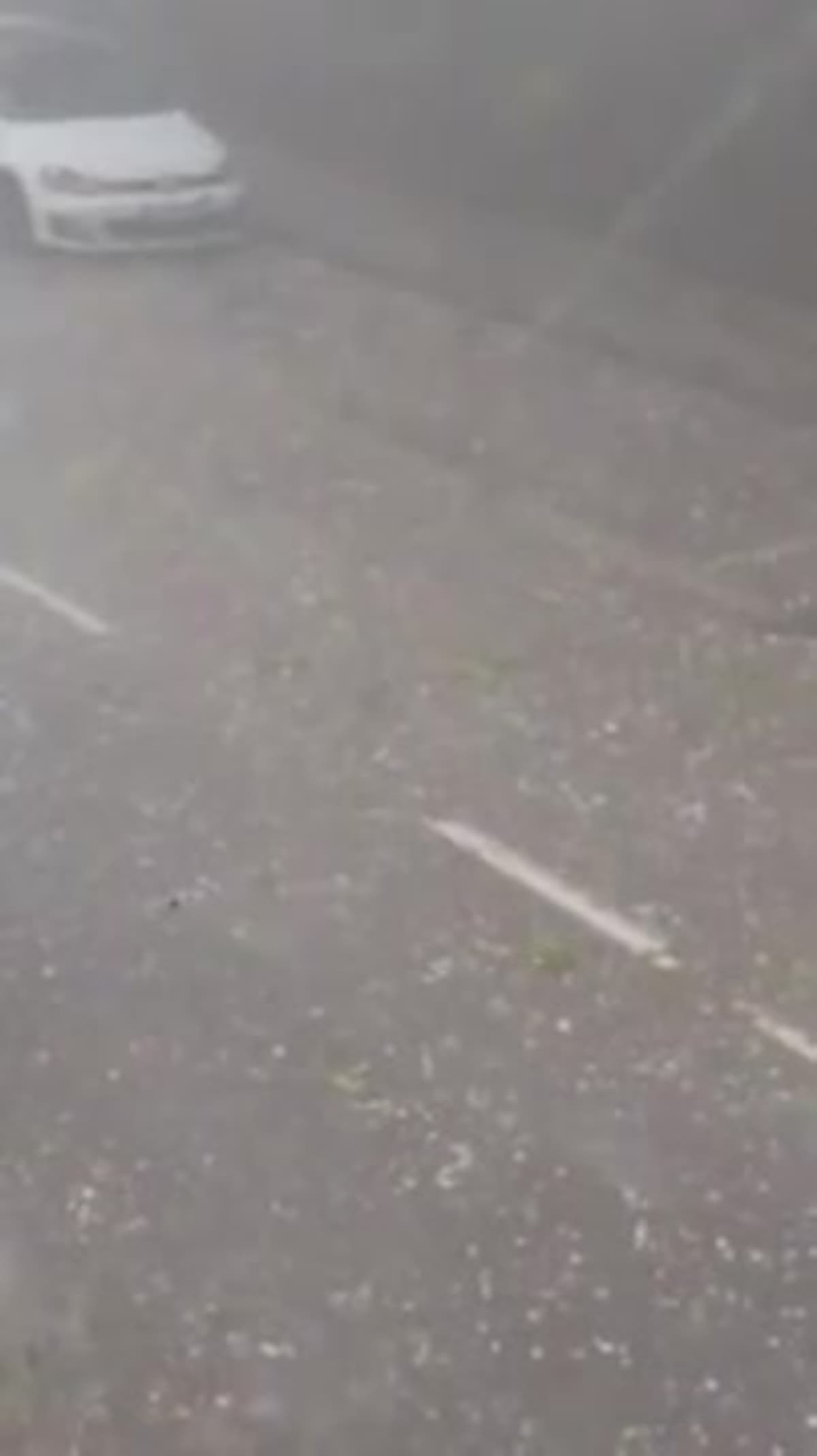 placeholder video
