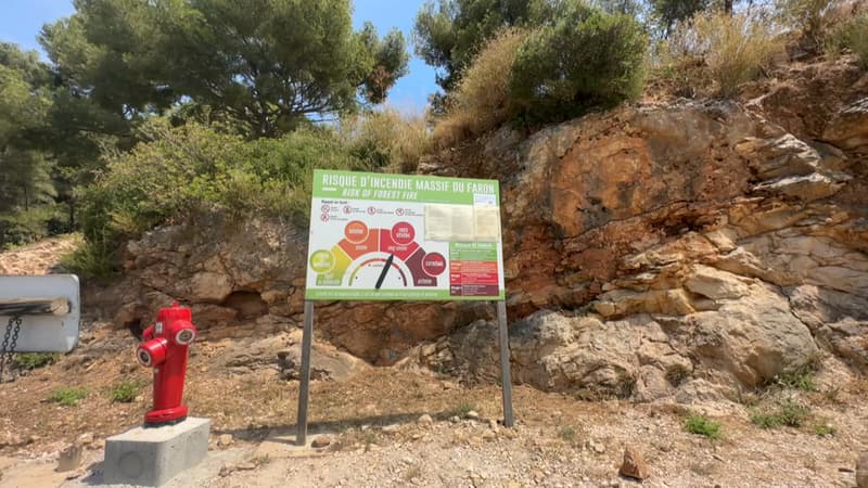 Monts toulonnais (photo d'illustration)