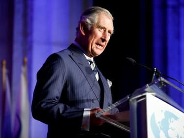 Le Prince Charles s'adresse à des élus américains à Washington, le 19 mars 2015