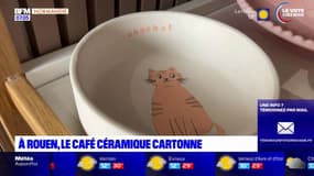 Rouen: le café céramique l'Échappoterie cartonne