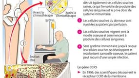 UN PATIENT "GUÉRI" DU SIDA