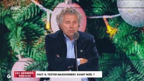 Faut-il tester massivement avant Noël ? - 02/12