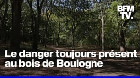 Le danger toujours présent au bois de Boulogne, un an après le meurtre de Philippine 