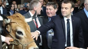 Le président Emmanuel Macron au Salon de l'agriculture, le 24 février 2018