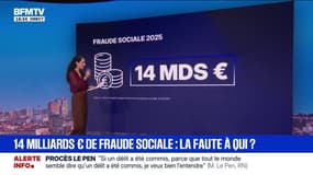 LES ÉCLAIREURS - 14 milliards d'euros de fraude sociale: la faute à qui ?