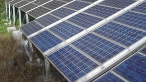 La gauche demande le retrait du moratoire sur les installations de panneaux solaires