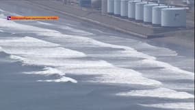 Séisme de magnitude 8,8: alerte au tsunami dans le Pacifique 