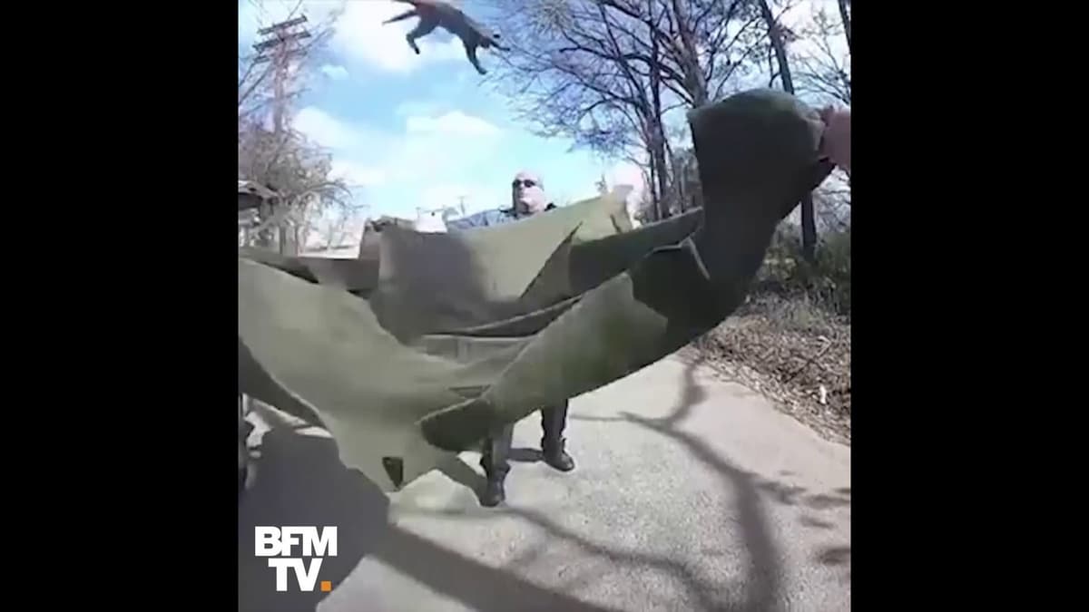 placeholder video