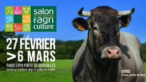 Le salon de l'Agriculture, du 27 février au 6 mars, à Paris