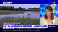 Planète locale Azur : Quelle Biodiversité ?