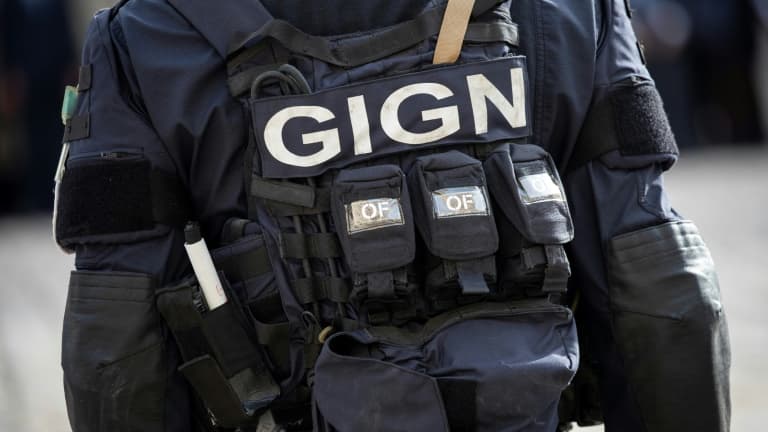 Le GIGN de Caen a arrêté un fugitif dans les Côtes-d'Armor (image d'illustration)