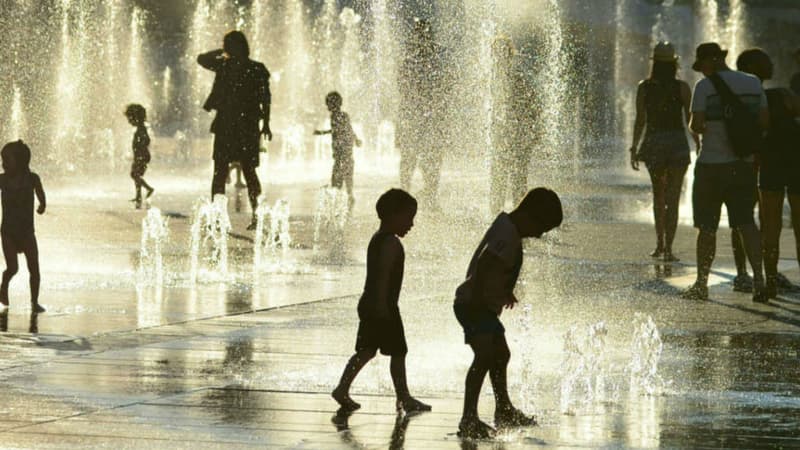 Episode de canicule.