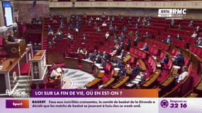 Loi sur la fin de vie, où en est-on? 