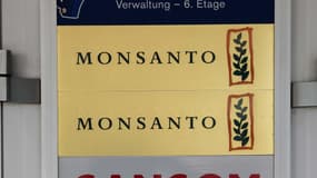 La Commission européenne va ouvrir une enquête approfondie sur le rachat de Monsanto par Bayer. 