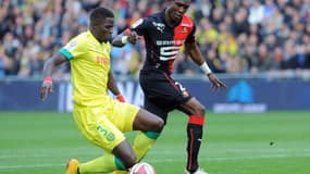 Habib Habibou