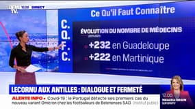 Situation hospitalière, accès à l'eau potable, niveau de vie, chômage…: les causes des revendications aux Antilles