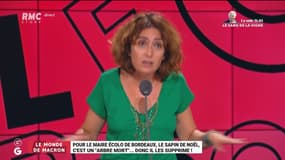 Le monde de Macron : Pour le maire écolo de Bordeaux, le sapin de Noël est un "arbre mort".... donc il les supprime ! - 11/09